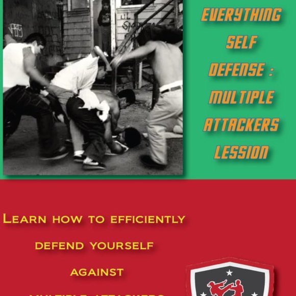 Everything self defense multiple attackers lesson CD - Picture 1 of 1